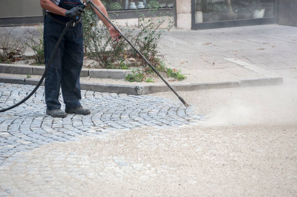 Best Winterizing Services  in Middleburg, FL