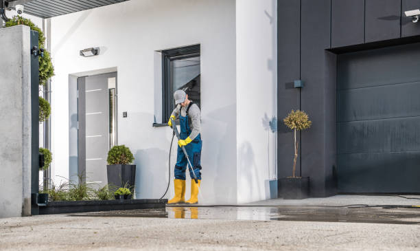 Best Solar Panel Cleaning  in Middleburg, FL